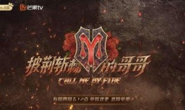 最新爆料斩虎事件视频播放,惊心动魄的生死较量