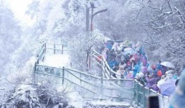 成都下雪最新爆料,冬日美景刷屏全网